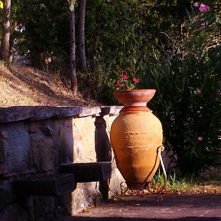 Tenuta Macetona Celle sul Rigo エクステリア 写真