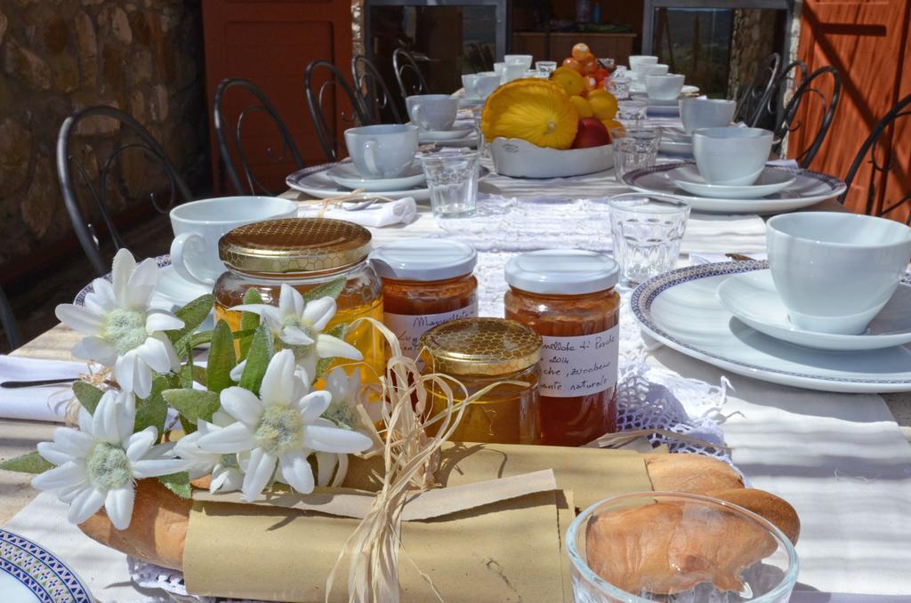 Tenuta Macetona Celle sul Rigo エクステリア 写真