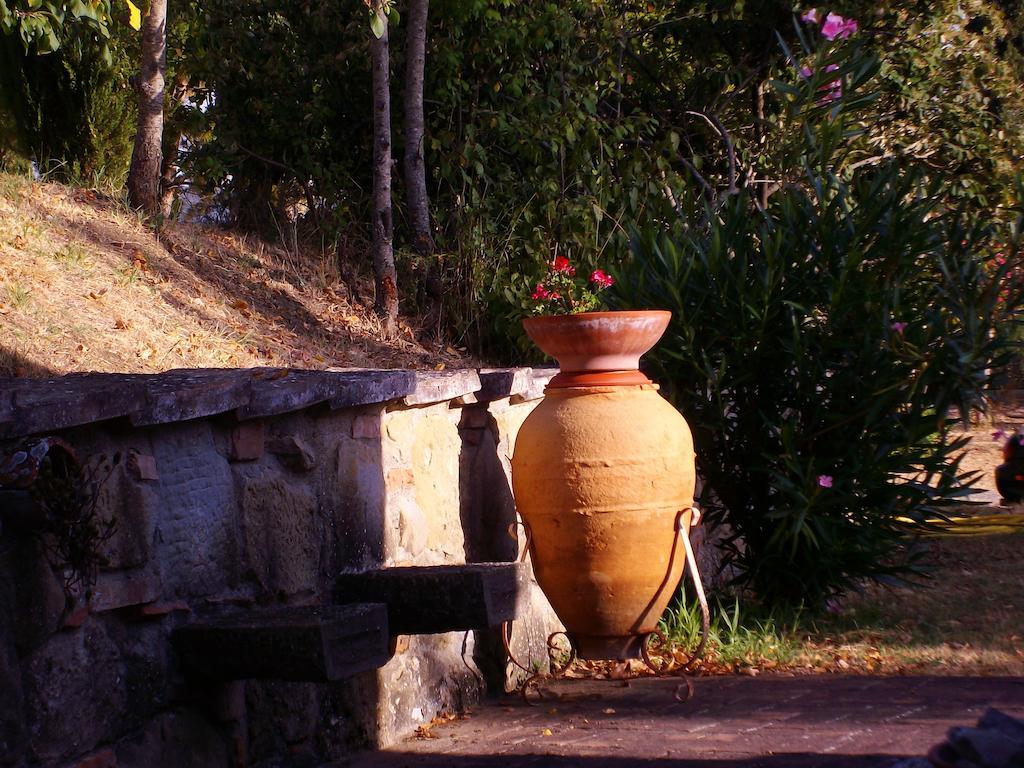 Tenuta Macetona Celle sul Rigo エクステリア 写真